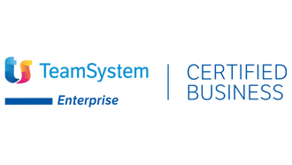 team-system-entrprise